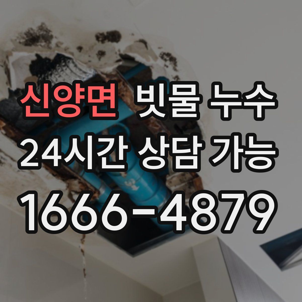신양면 빗물 누수