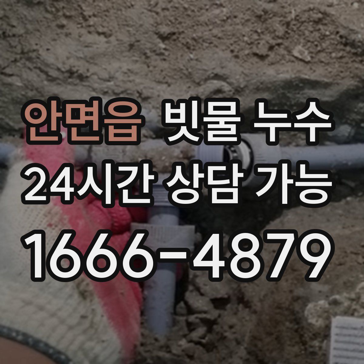 안면읍 빗물 누수