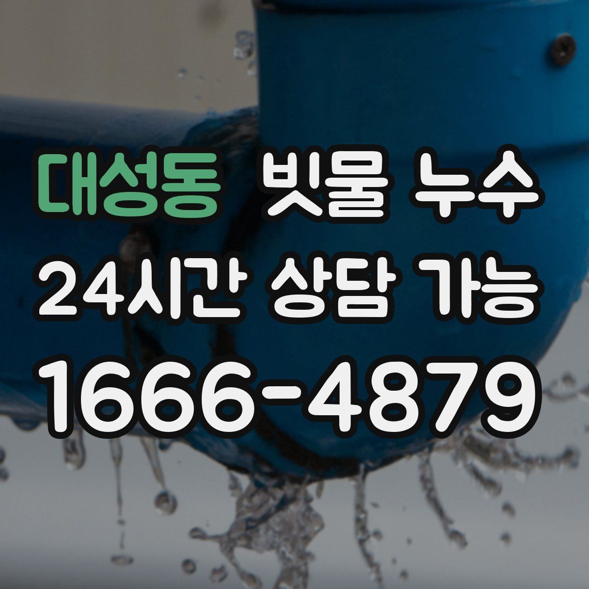 대성동 빗물 누수
