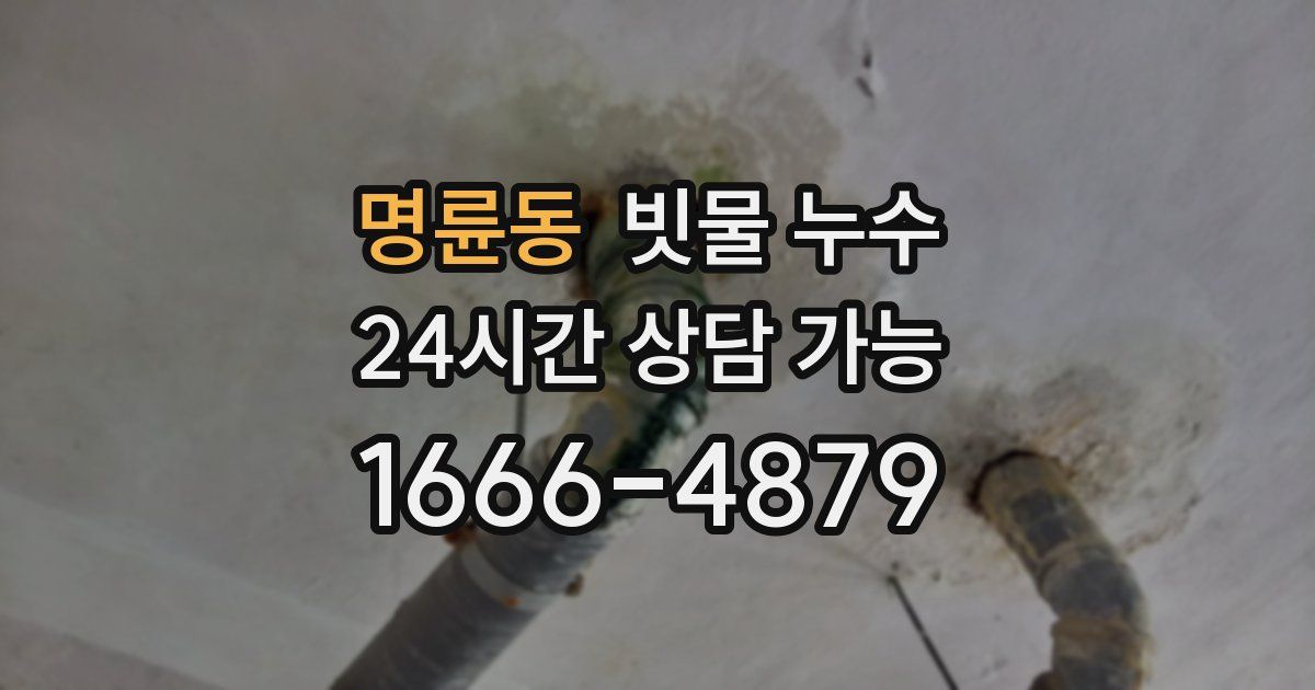 명륜동 빗물 누수