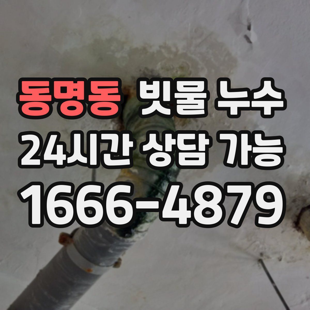 동명동 빗물 누수