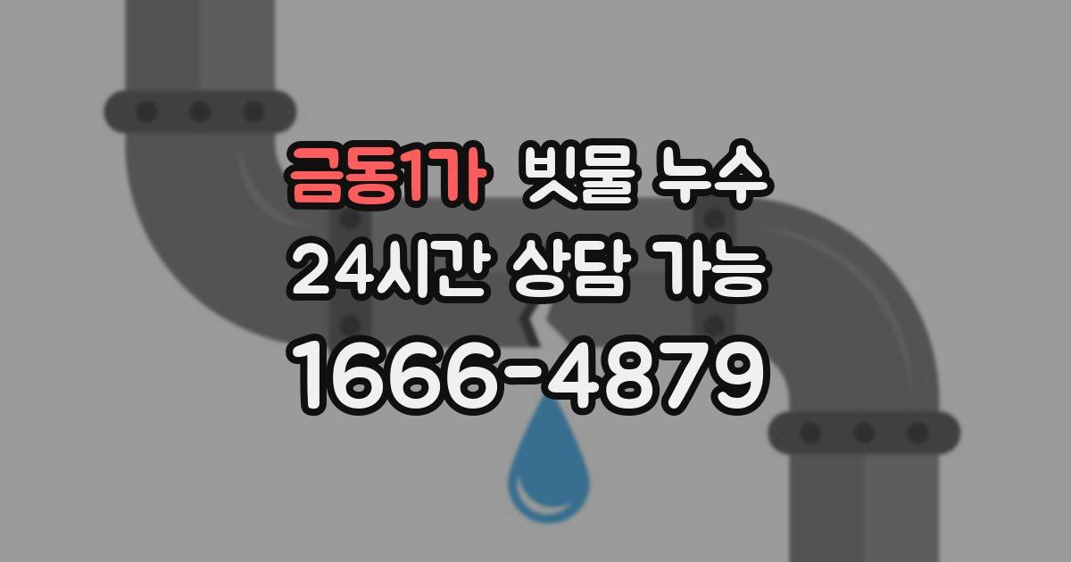 금동1가 빗물 누수