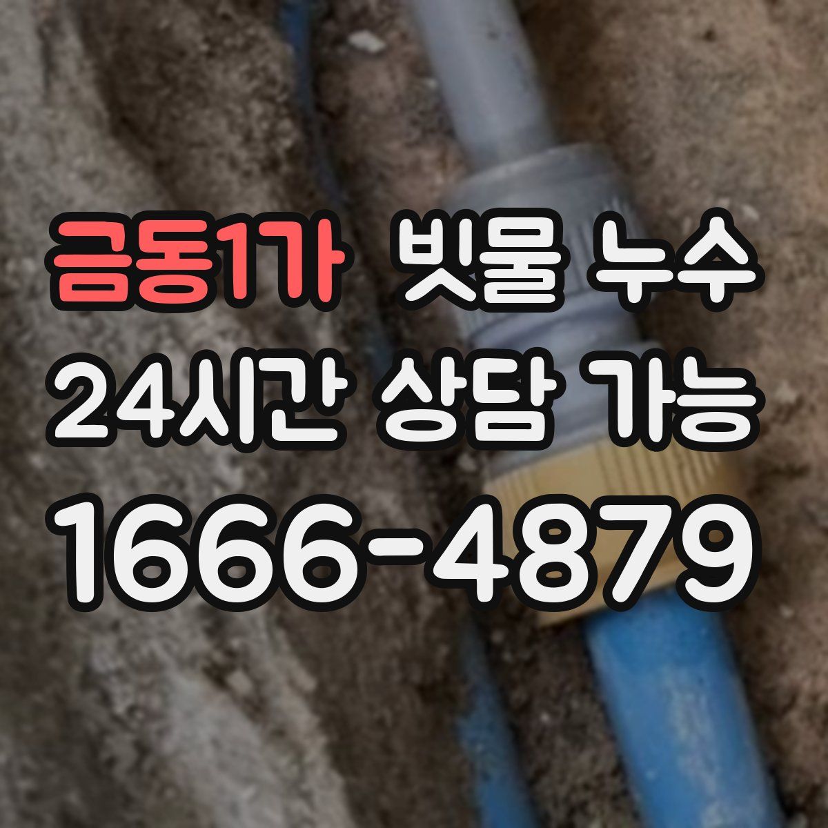 금동1가 빗물 누수