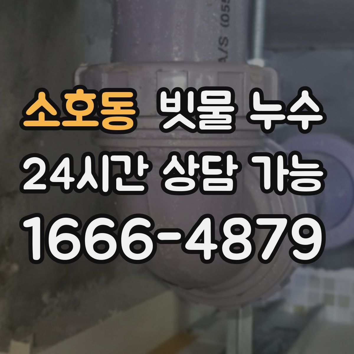 소호동 빗물 누수