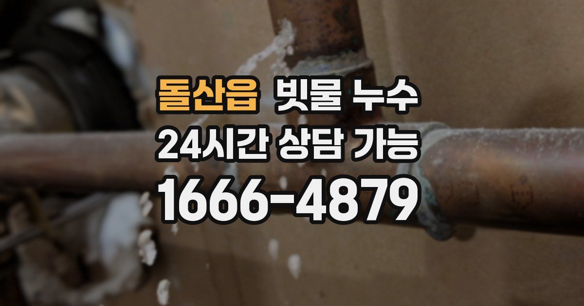 돌산읍 빗물 누수