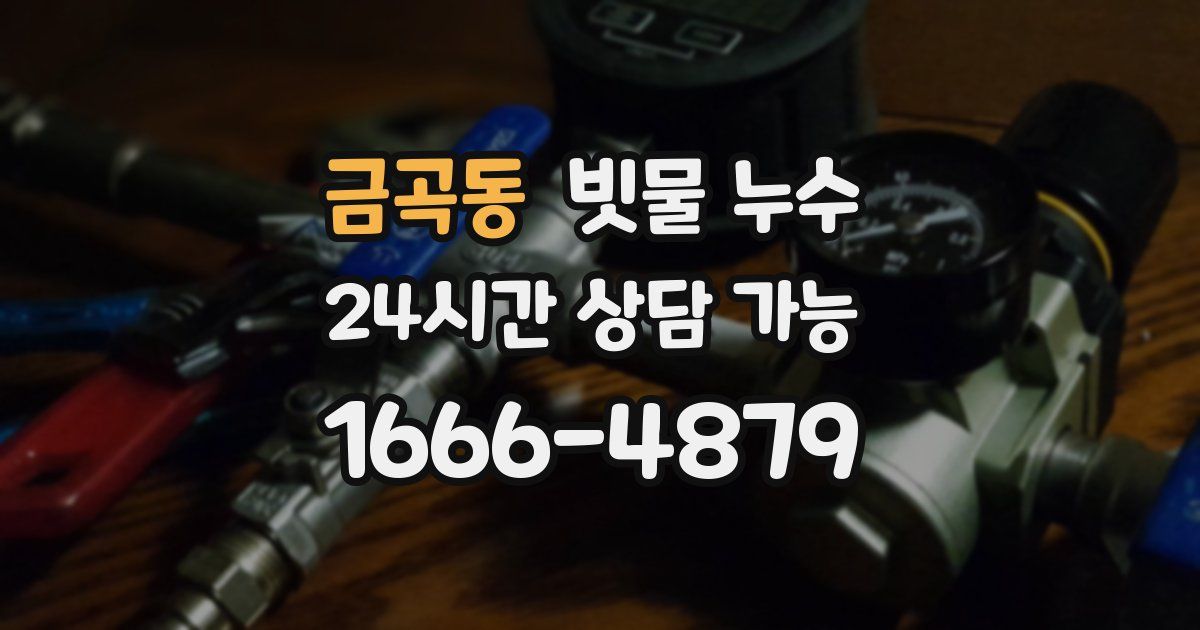 금곡동 빗물 누수