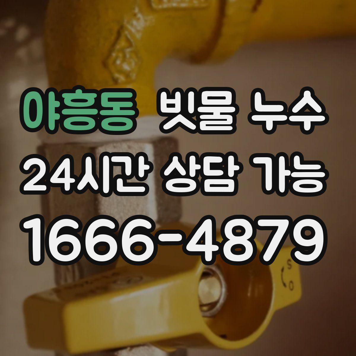 야흥동 빗물 누수