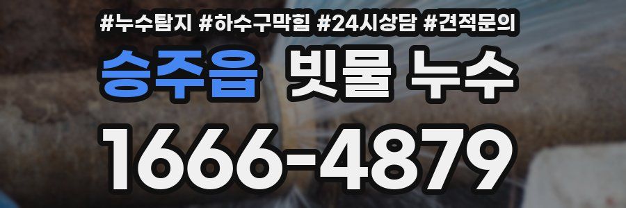 승주읍 빗물 누수