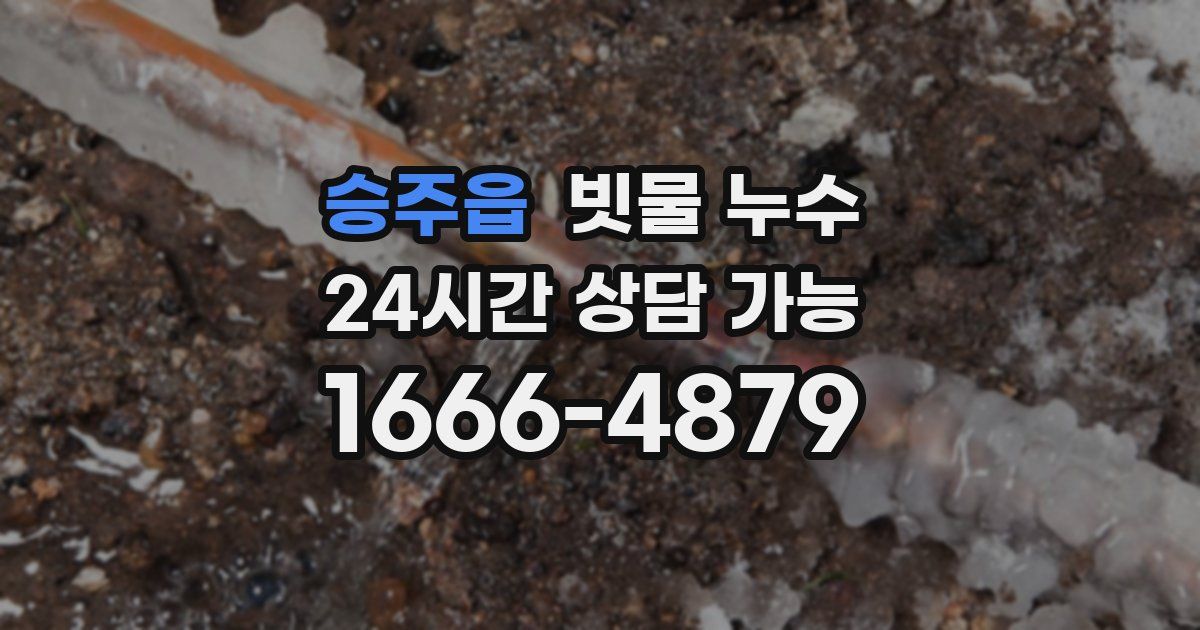 승주읍 빗물 누수