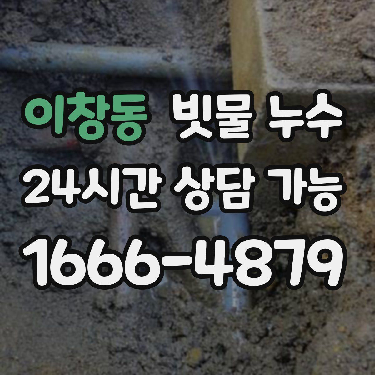 이창동 빗물 누수