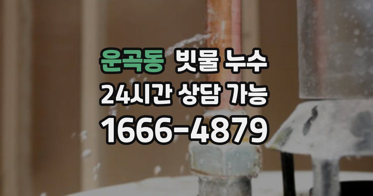 운곡동 빗물 누수