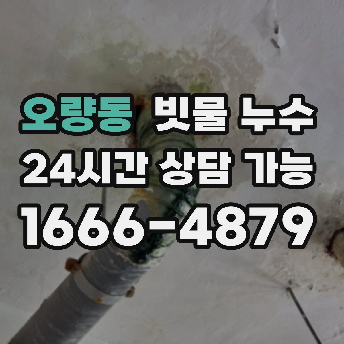 오량동 빗물 누수