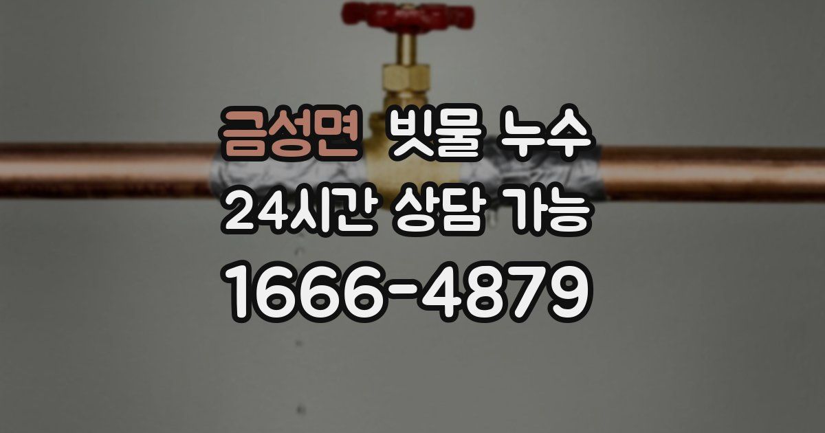 금성면 빗물 누수