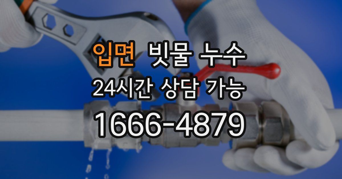 입면 빗물 누수