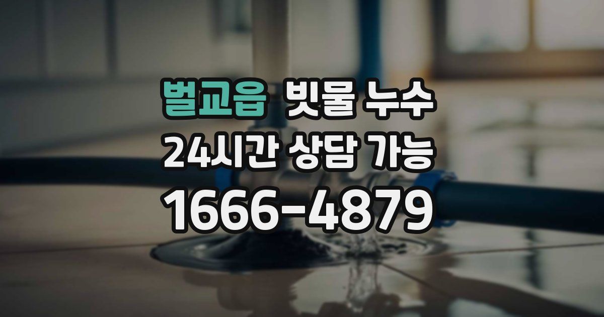 벌교읍 빗물 누수