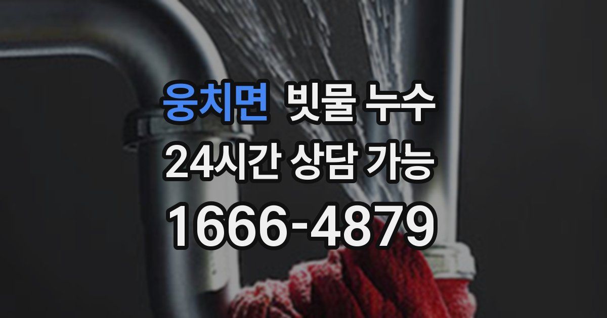 웅치면 빗물 누수