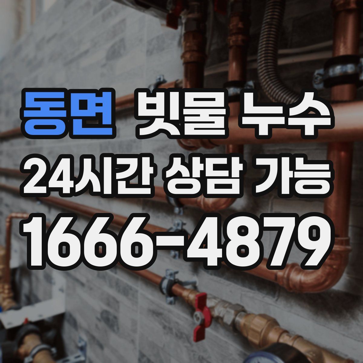 동면 빗물 누수