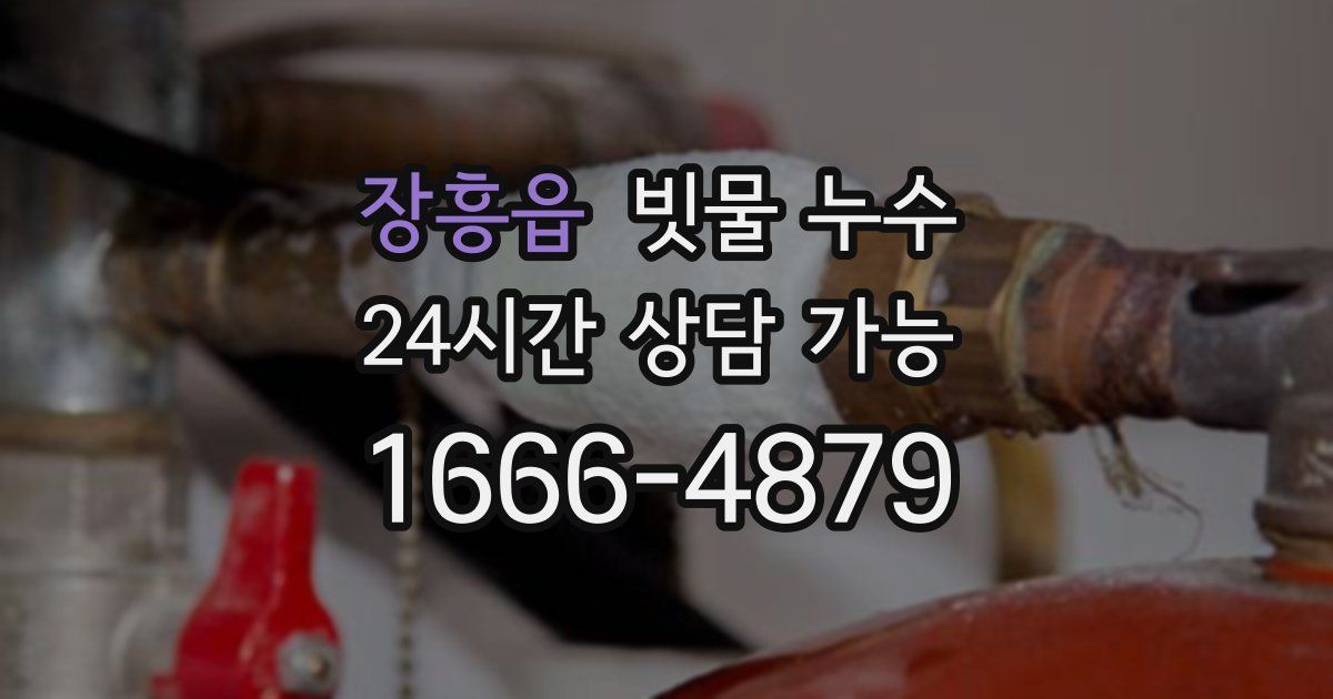 장흥읍 빗물 누수