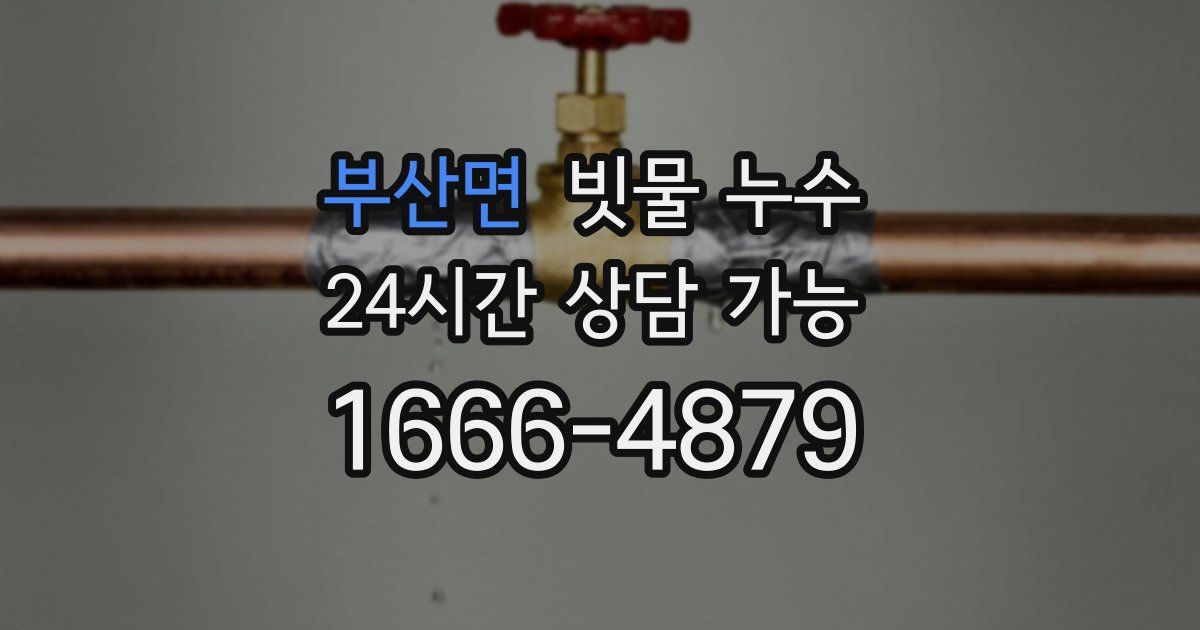 부산면 빗물 누수