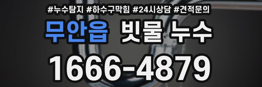무안읍 빗물 누수