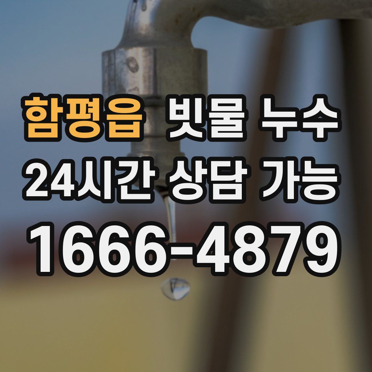 함평읍 빗물 누수