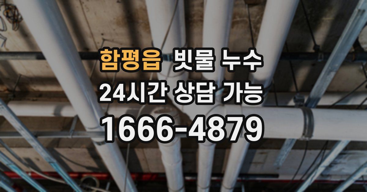 함평읍 빗물 누수