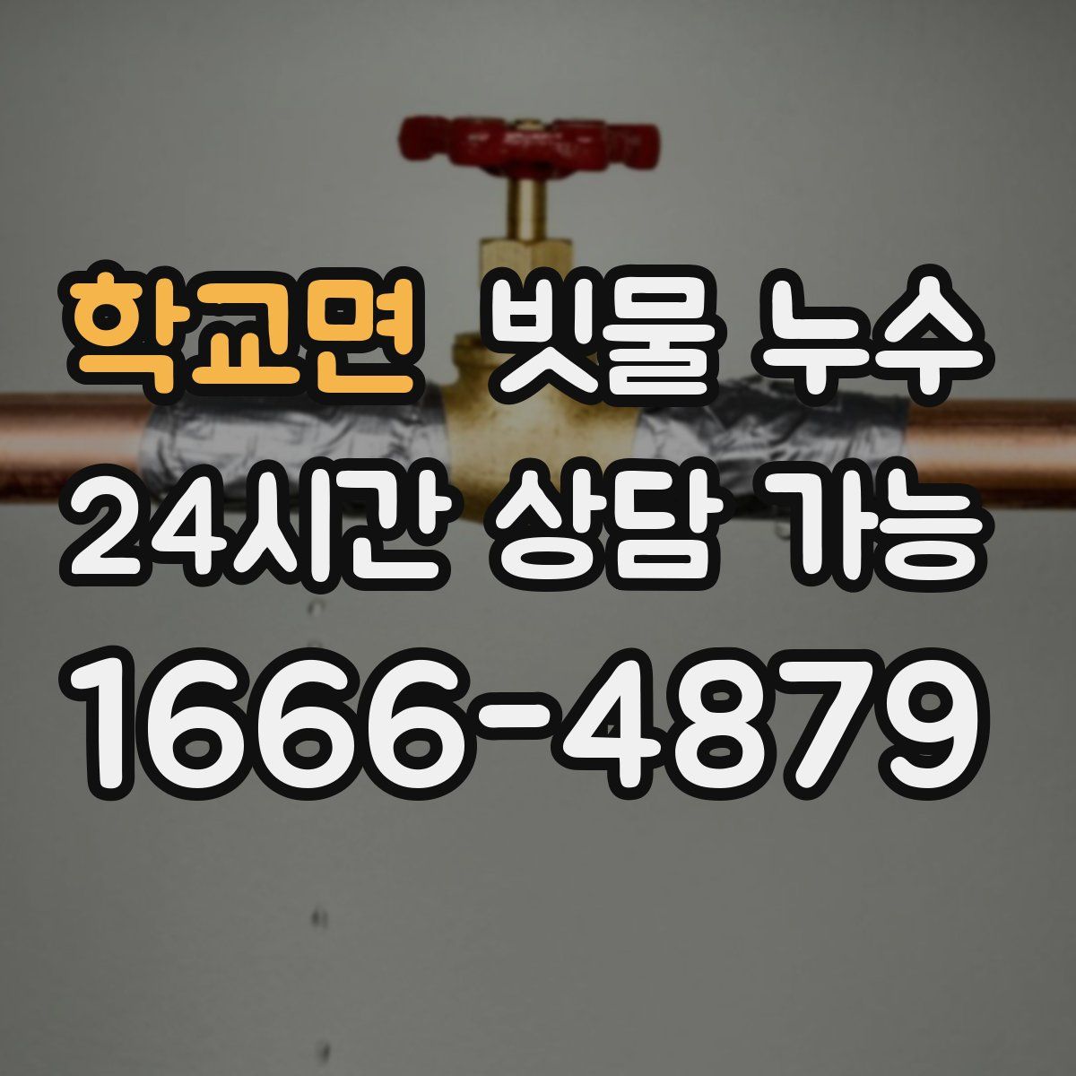 학교면 빗물 누수