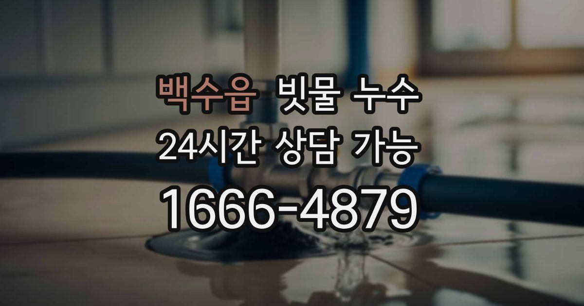 백수읍 빗물 누수