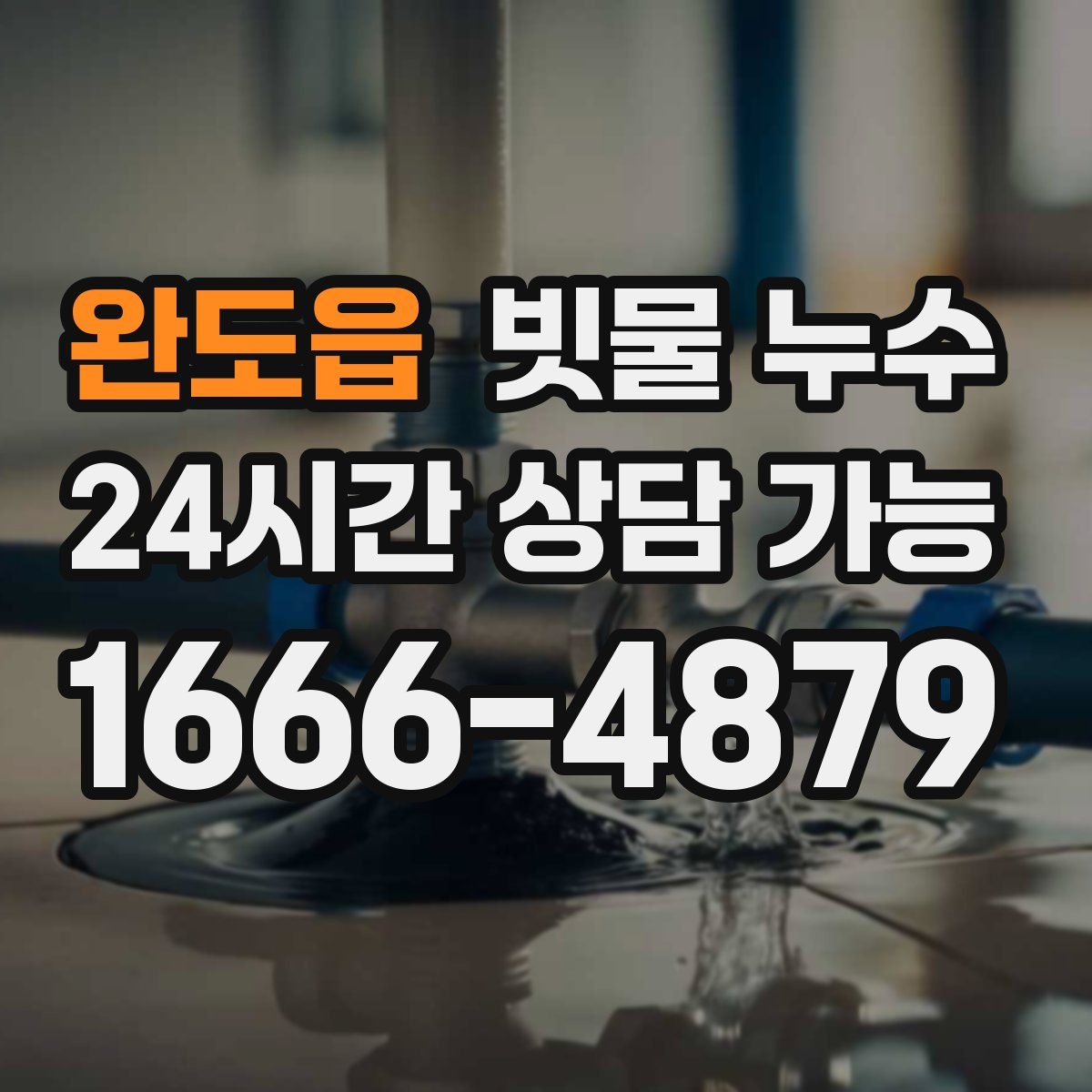 완도읍 빗물 누수