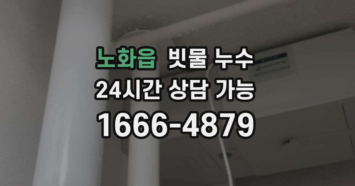 노화읍 빗물 누수