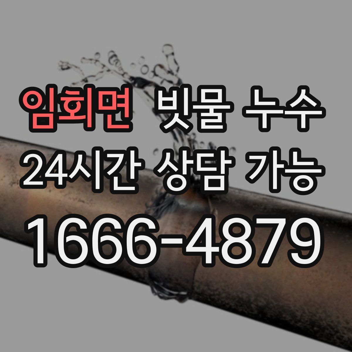 임회면 빗물 누수