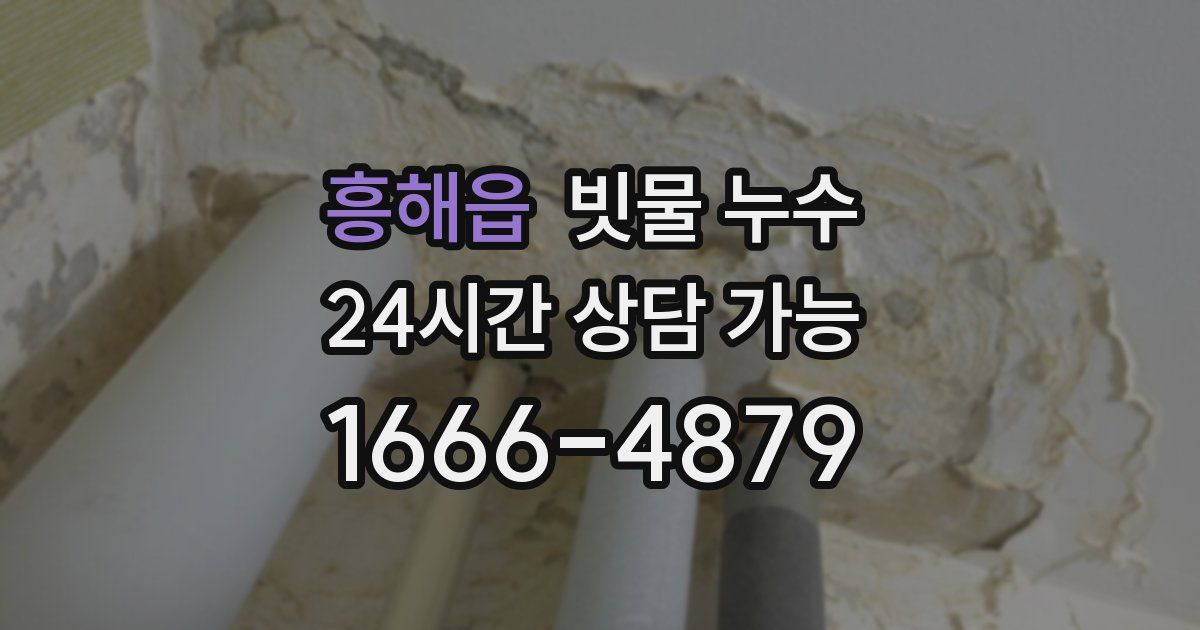 흥해읍 빗물 누수