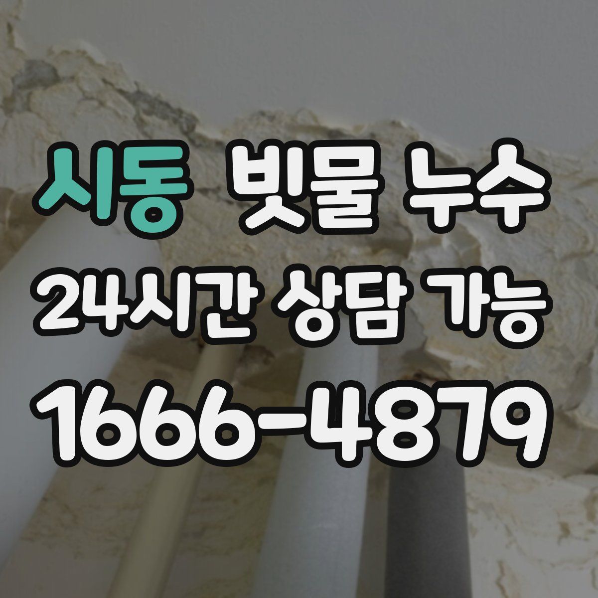 시동 빗물 누수