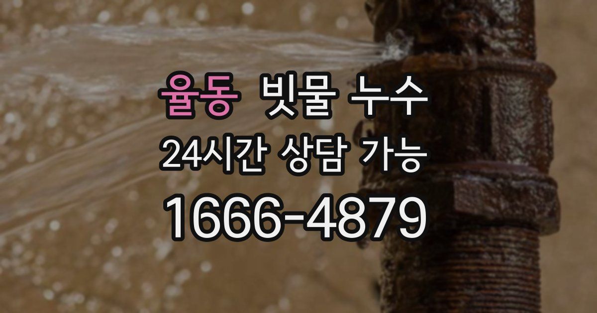 율동 빗물 누수