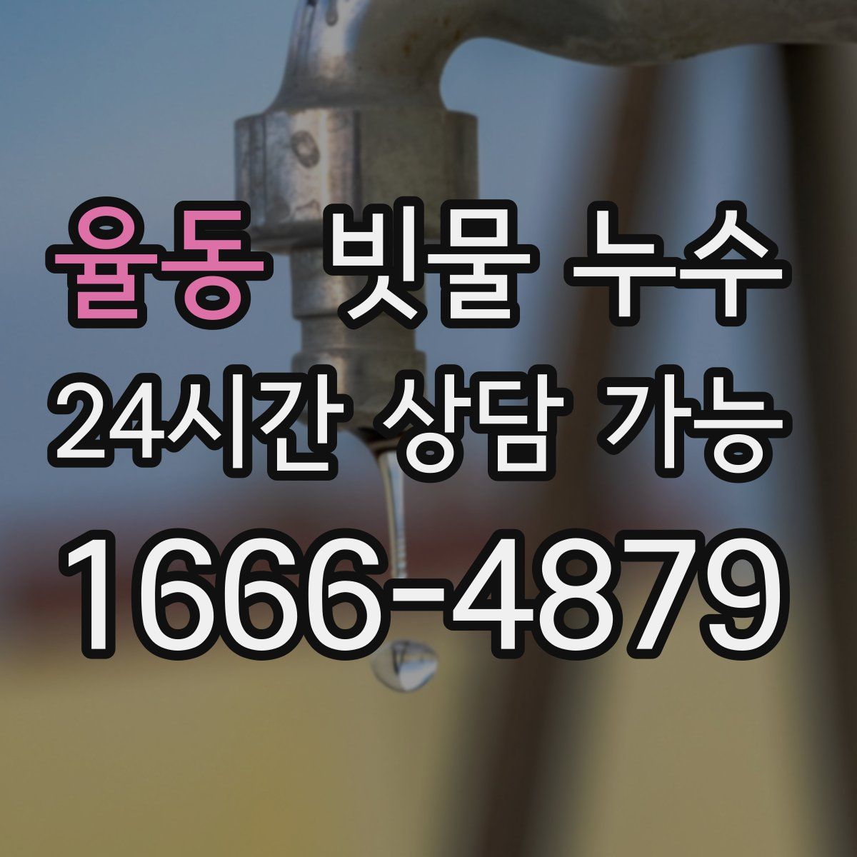 율동 빗물 누수