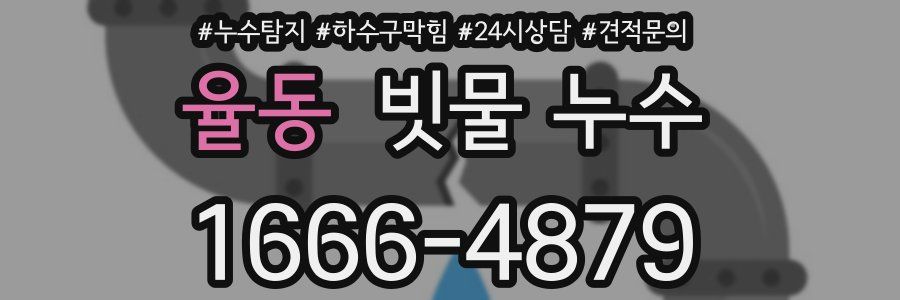 율동 빗물 누수
