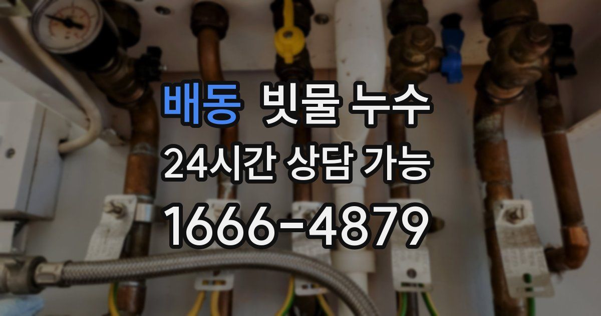 배동 빗물 누수