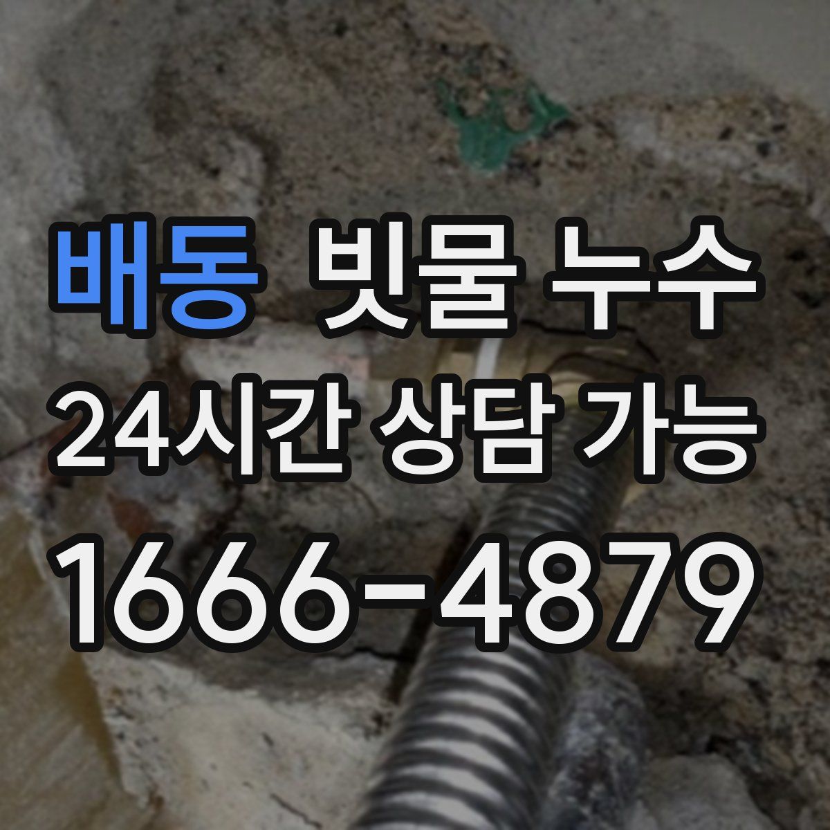 배동 빗물 누수