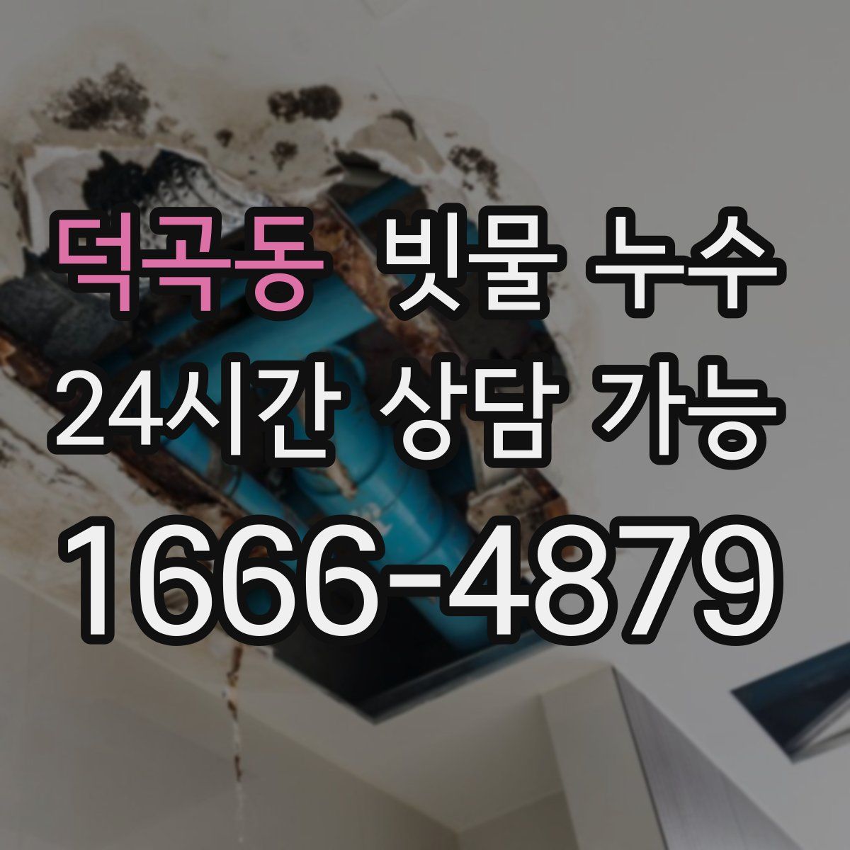 덕곡동 빗물 누수