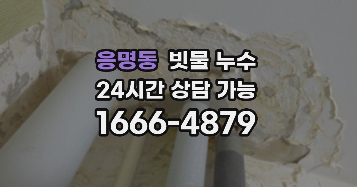 응명동 빗물 누수