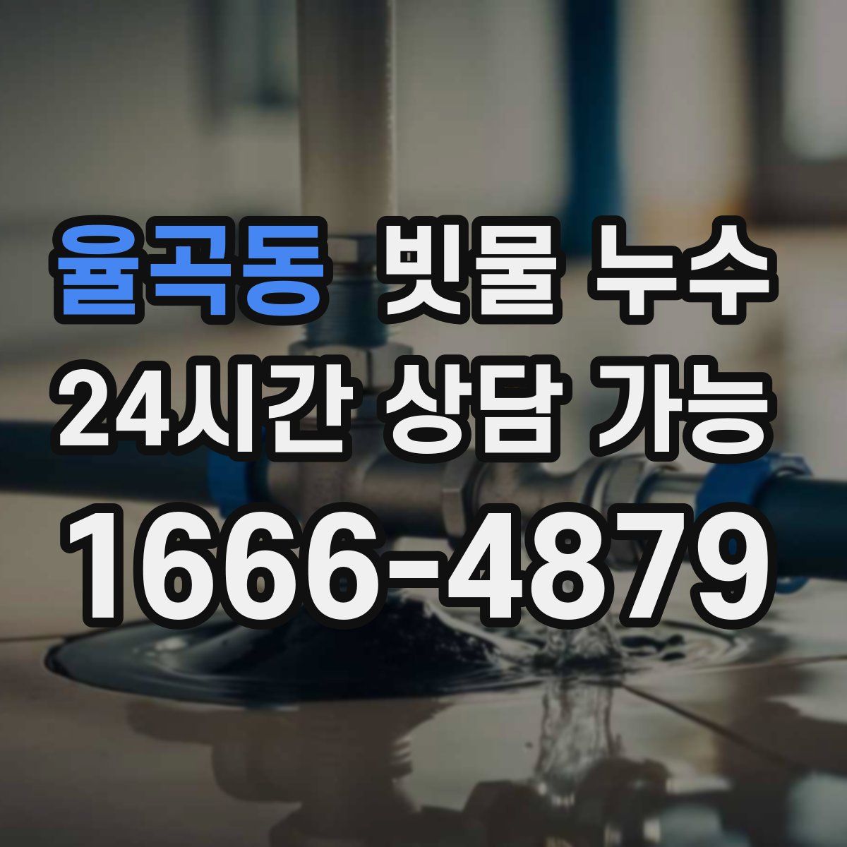 율곡동 빗물 누수
