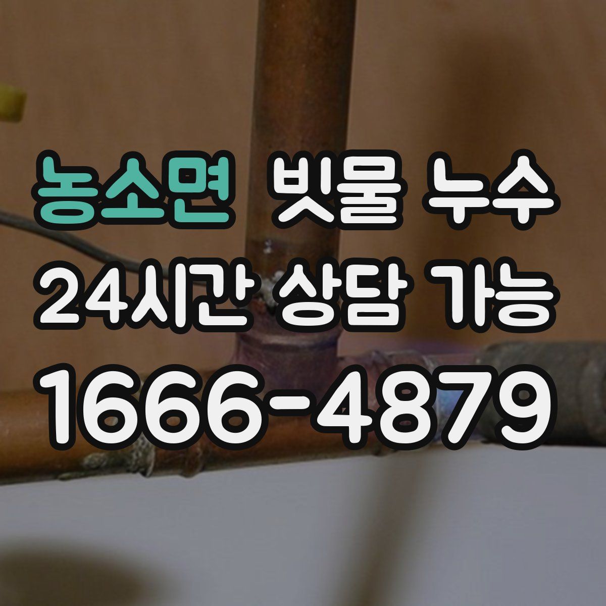 농소면 빗물 누수