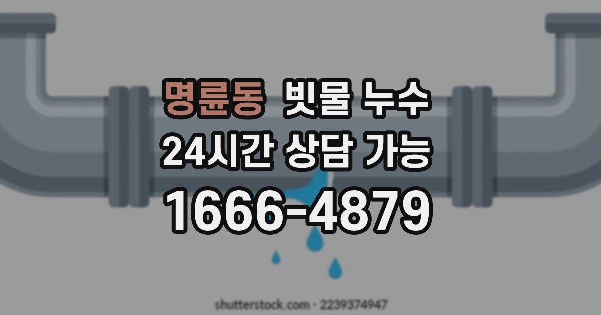 명륜동 빗물 누수
