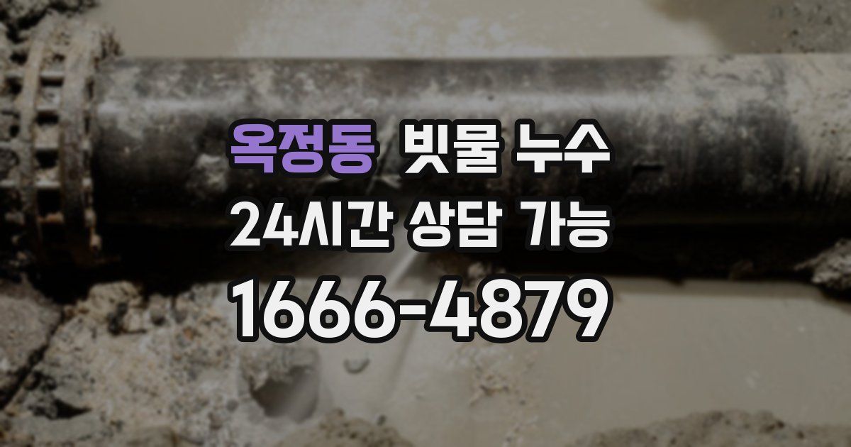 옥정동 빗물 누수