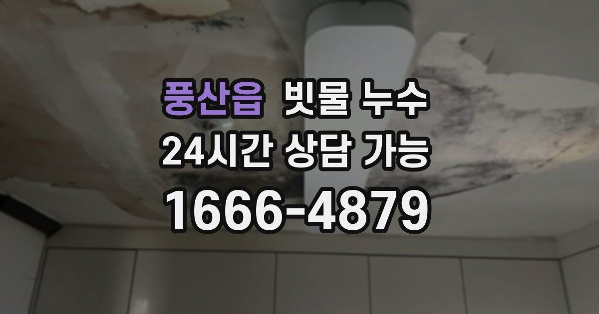 풍산읍 빗물 누수
