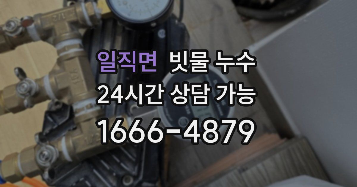 일직면 빗물 누수