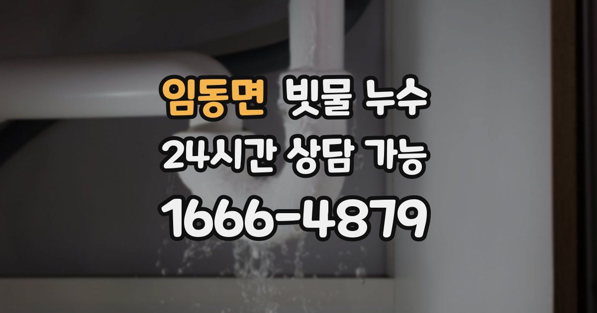 임동면 빗물 누수