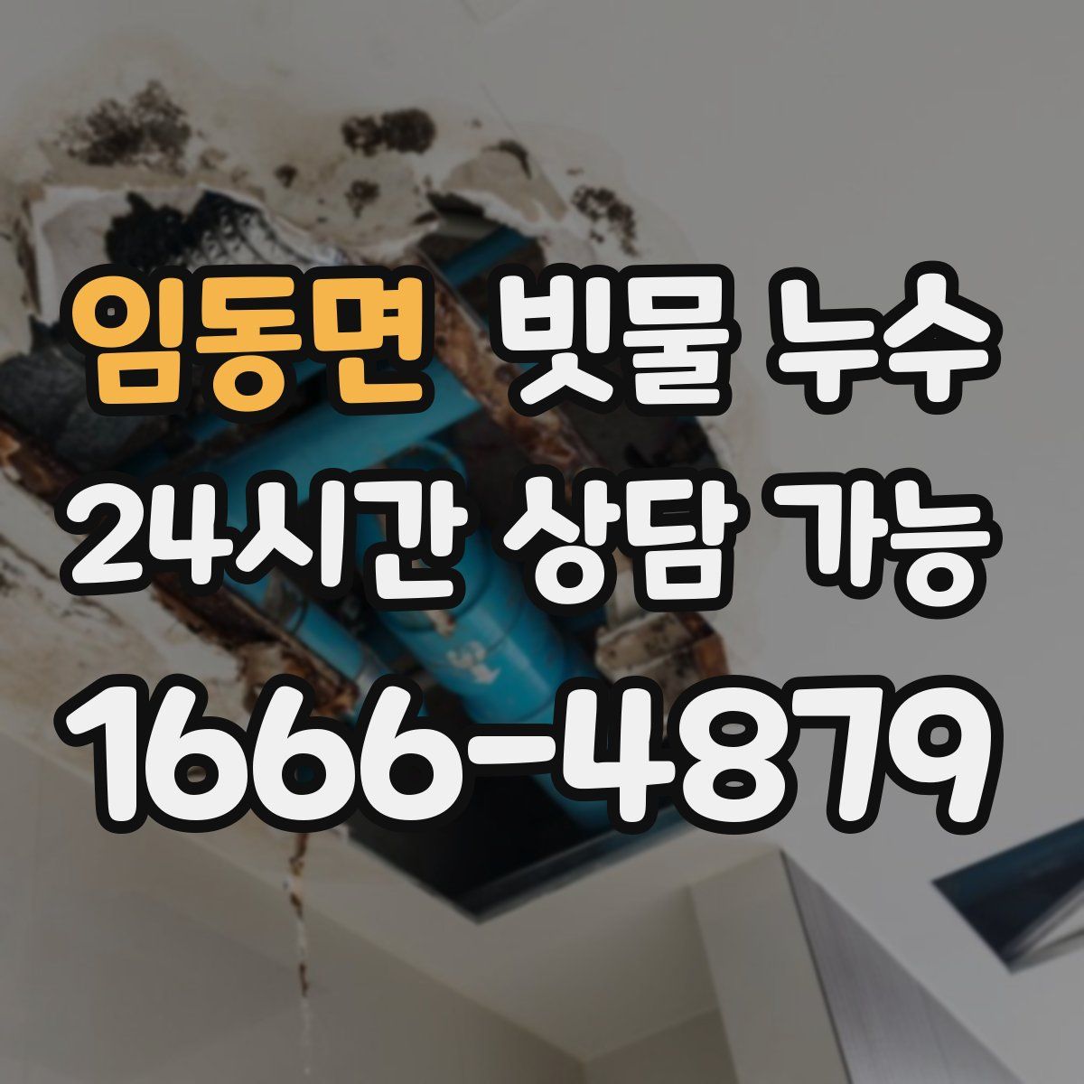 임동면 빗물 누수