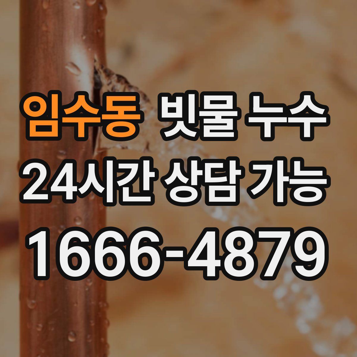 임수동 빗물 누수