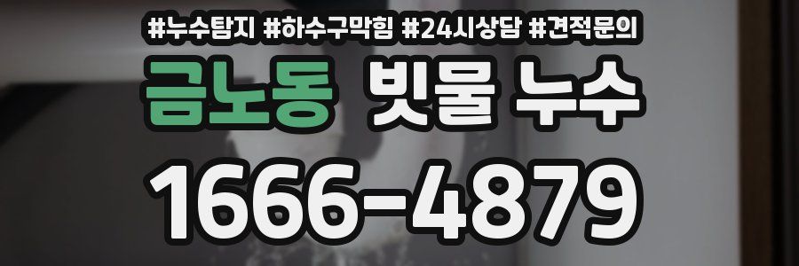 금노동 빗물 누수